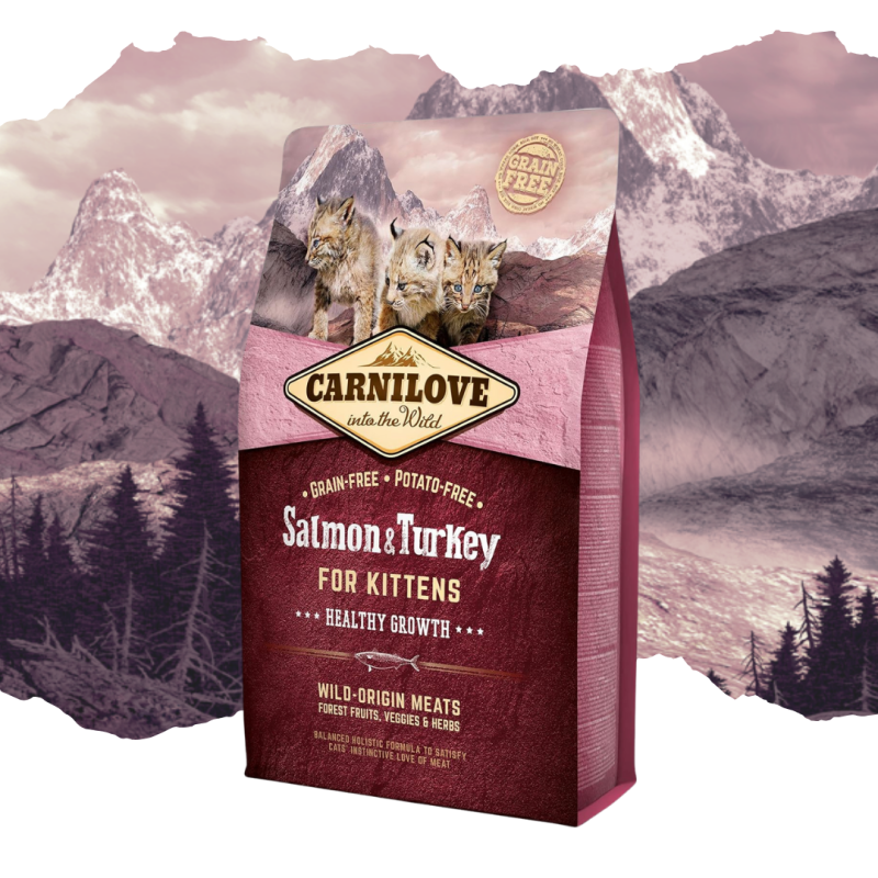 Croquettes pour chaton au saumon & dinde 2kg - CARNILOVE 