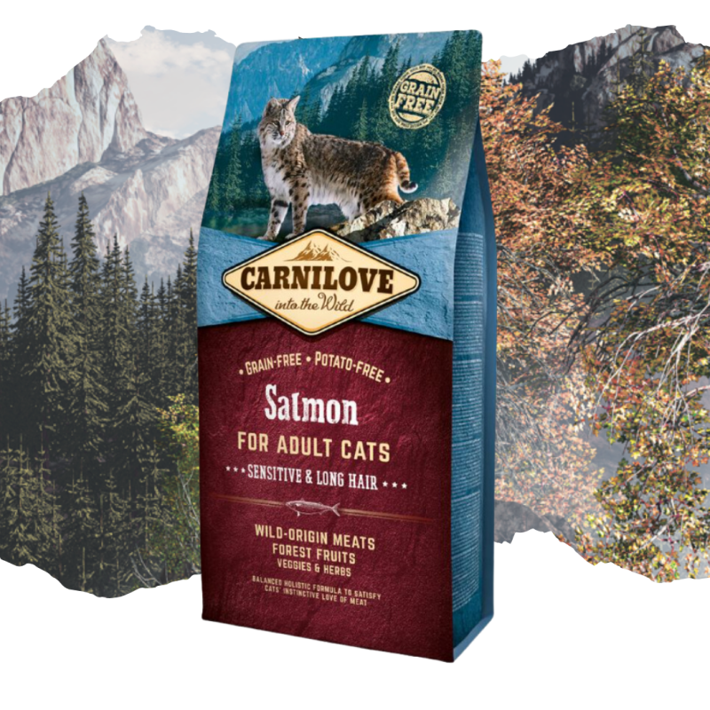 Croquettes pour chat adulte Sensitive Long Hair au saumon 6kg - CARNILOVE 