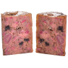 Pâtée pour chien adulte au saumon et à la dinde 400g - CARNILOVE