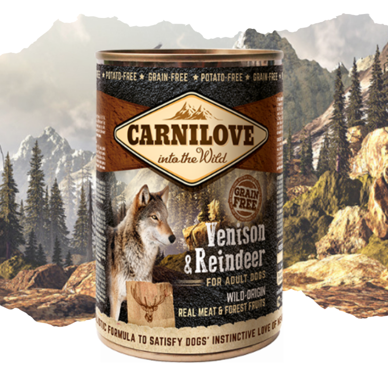 Pâtée pour chien adulte viande sauvage cerf et renne 400g - CARNILOVE 