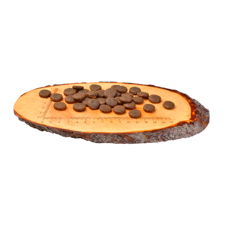 Croquettes pour chien adulte au saumon 1,5kg - CARNILOVE 