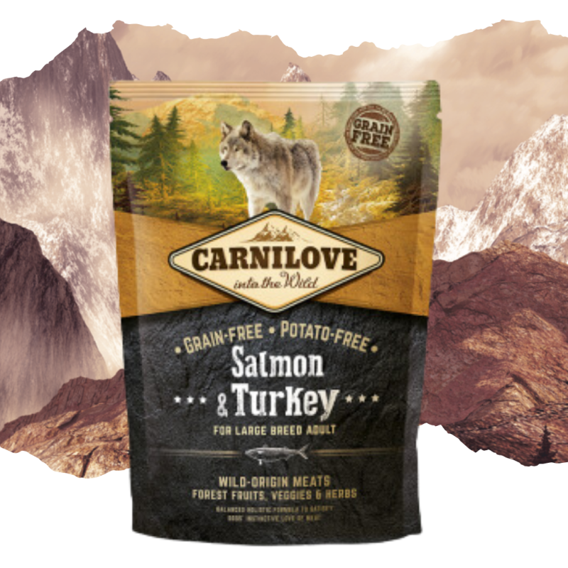 Croquettes pour chien adulte au saumon 1,5kg - CARNILOVE 