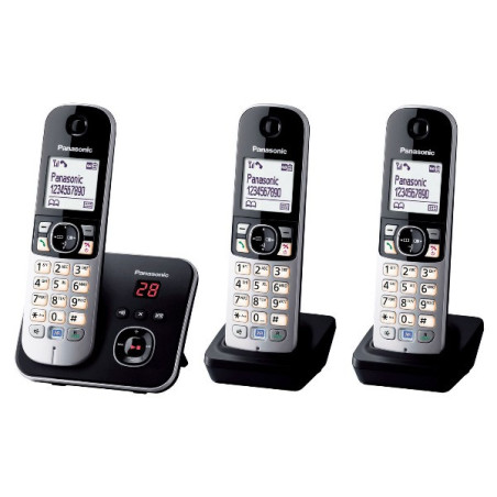 Téléphones sans fil - PANASONIC - KX-TG6823FRB