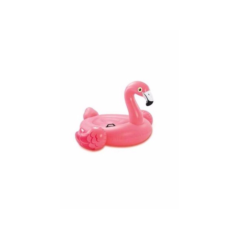 FLAMANT ROSE A CHEVAUCHER