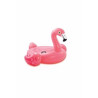 FLAMANT ROSE A CHEVAUCHER
