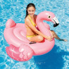 FLAMANT ROSE A CHEVAUCHER