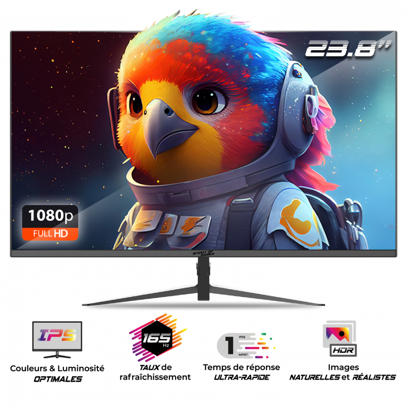 Ecran PC gaming Epic 23.8" FHD IPS 165Hz Noir - SPIRIT OF GAMER - ECRE24I165SOG