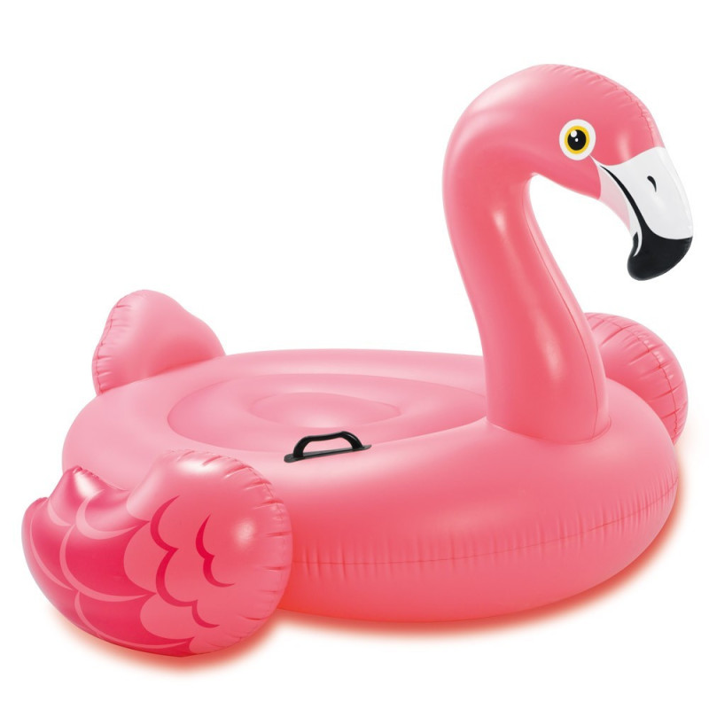 FLAMANT ROSE A CHEVAUCHER