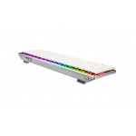 Clavier - ROG Falchion RX LP - ASUS