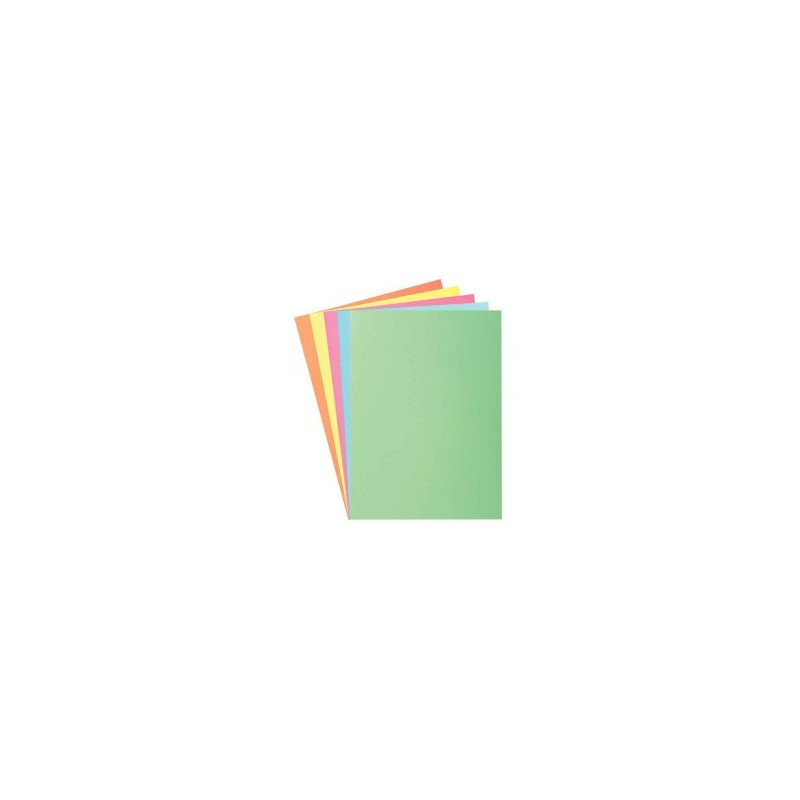 Paquet de 100 sous-chemises 60g format 22x31 cm coloris assortis