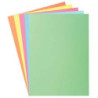 Paquet de 100 sous-chemises 60g format 22x31 cm coloris assortis