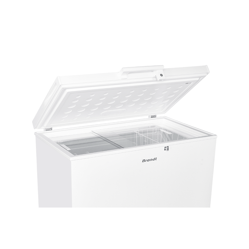 Congélateur coffre 308L Blanc BRANDT BFK301ESW — free download