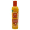 Leave-in hydratant mangue et beurre de karité - CREME OF NATURE