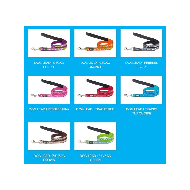 Laisse pour chien 20mm plusieurs coloris - COLORADO