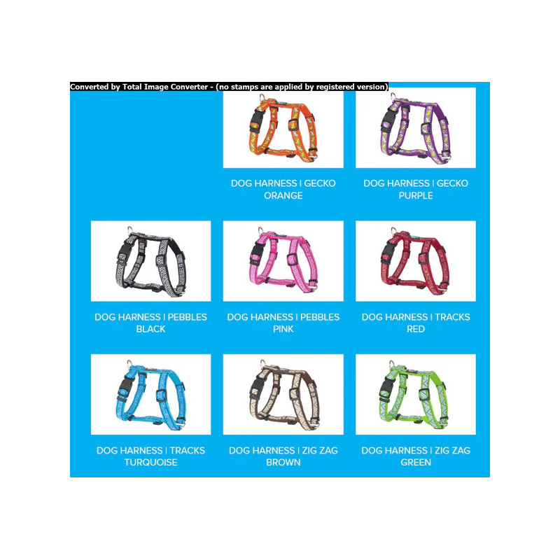 Harnais pour chien 20mm plusieurs coloris disponibles - COLORADO