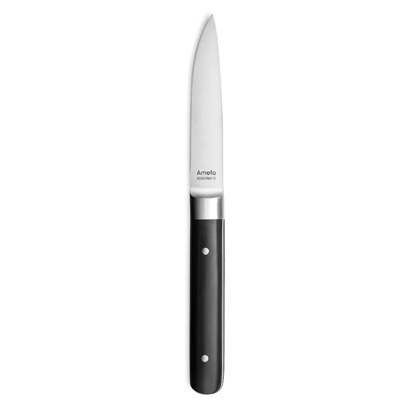 Couteaux à steak fusion PRO - AMEFA - AME-AC0078