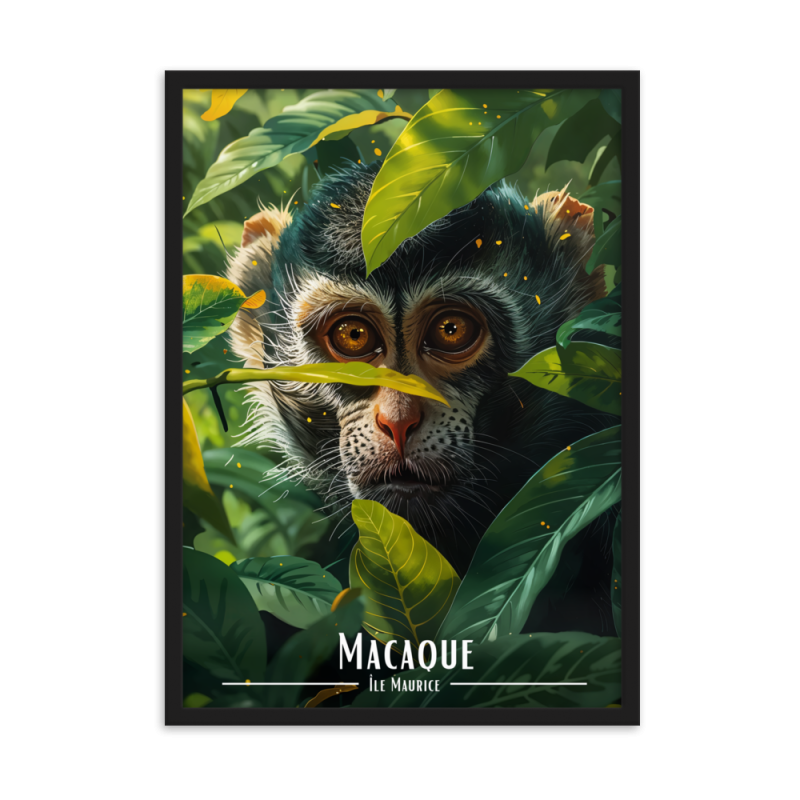 Macaque mauricien 50 × 70 cm