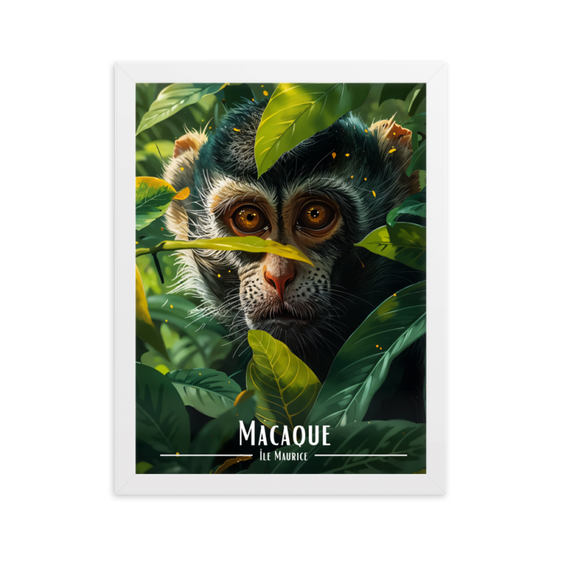 Macaque mauricien 61 × 91 cm