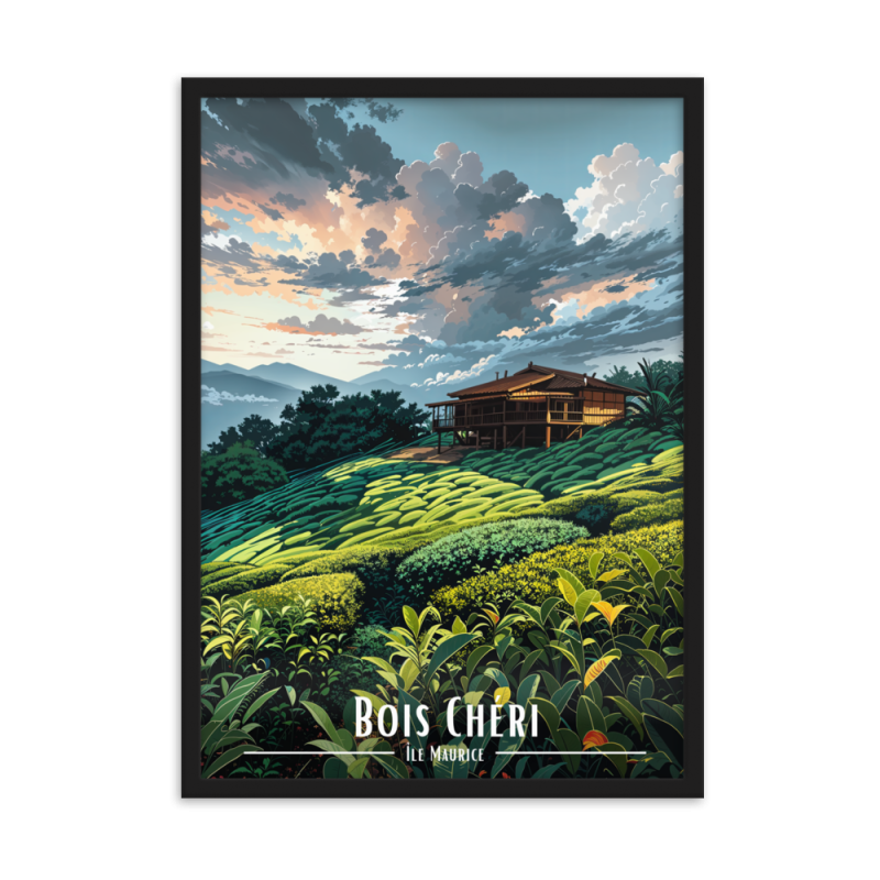 Bois cheri  50 × 70 cm