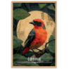 Cardinal au claire de lune  30 × 40 cm