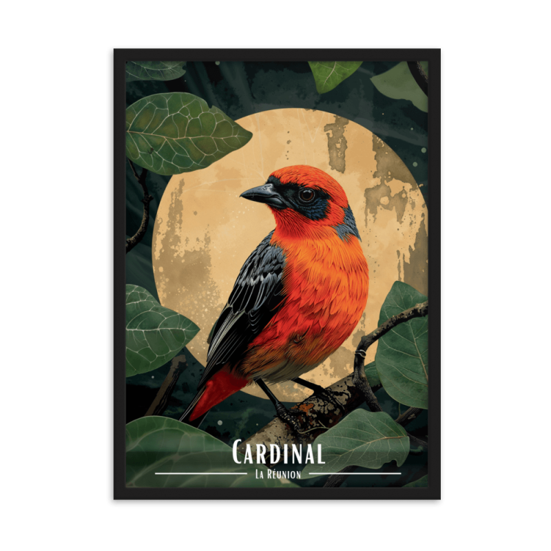 Cardinal au claire de lune  50 × 70 cm