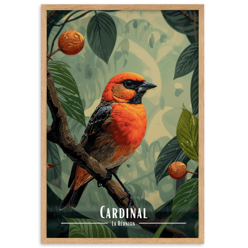 Cardinal 30 × 40 cm