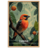 Cardinal  30 × 40 cm