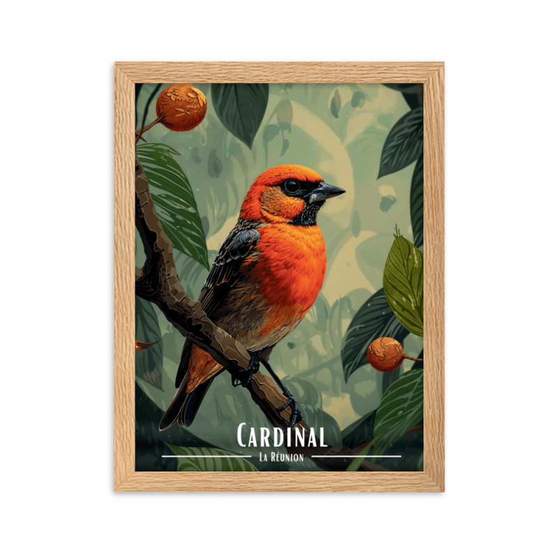 Cardinal 50 × 70 cm