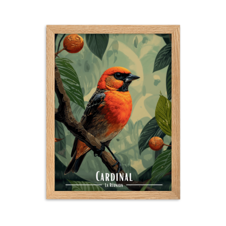Cardinal  50 × 70 cm