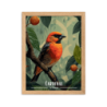 Cardinal  50 × 70 cm