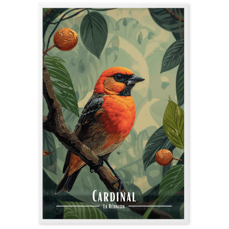 Cardinal  61 × 91 cm