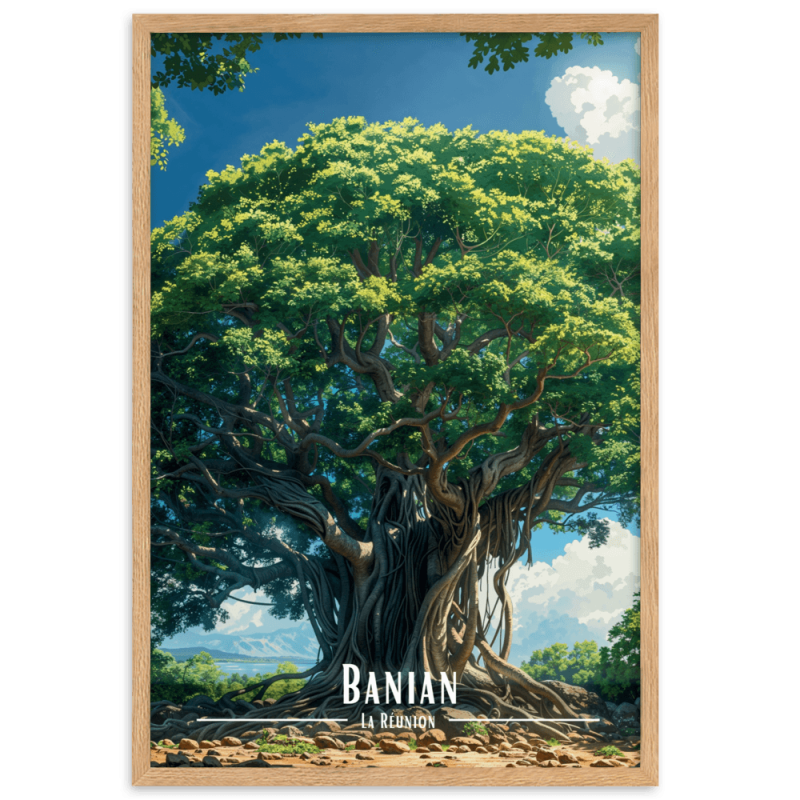 Le banian  30 × 40 cm