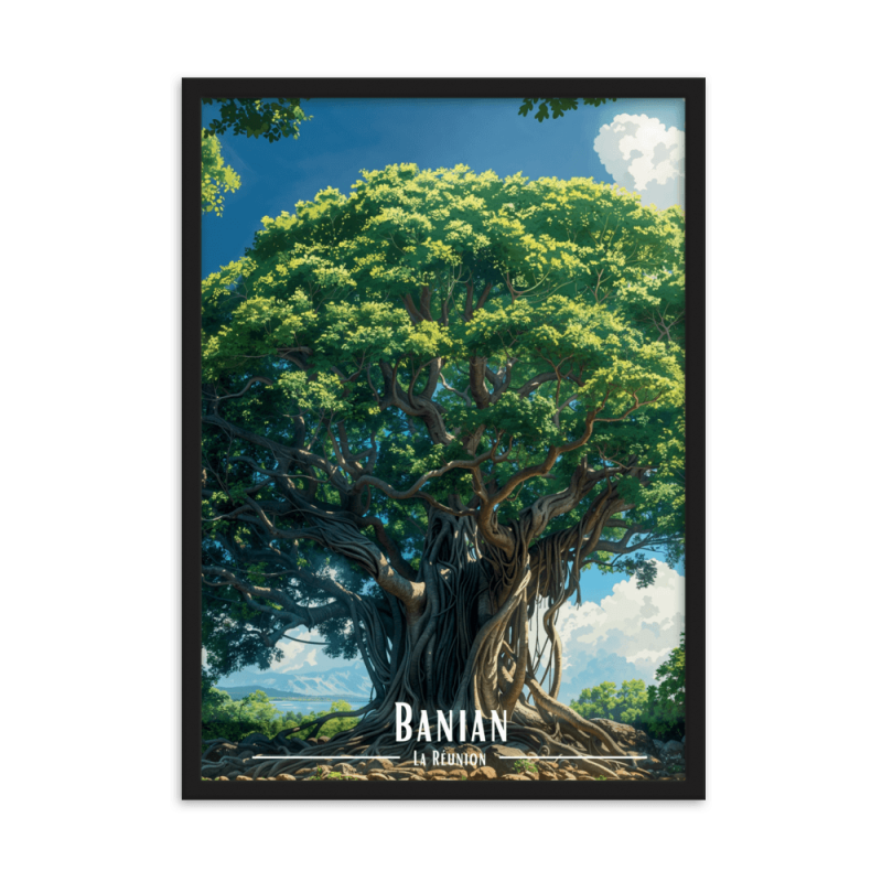 Le banian  50 × 70 cm
