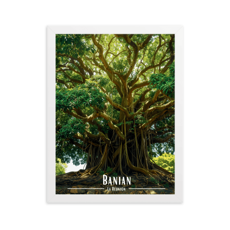 Banian en haut de la colline 61 × 91 cm