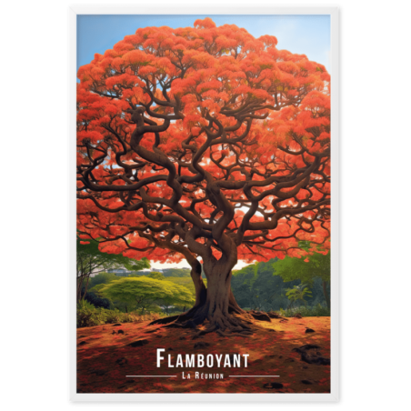 Flamboyant en fleur  61 × 91 cm