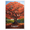 Flamboyant en fleur  61 × 91 cm