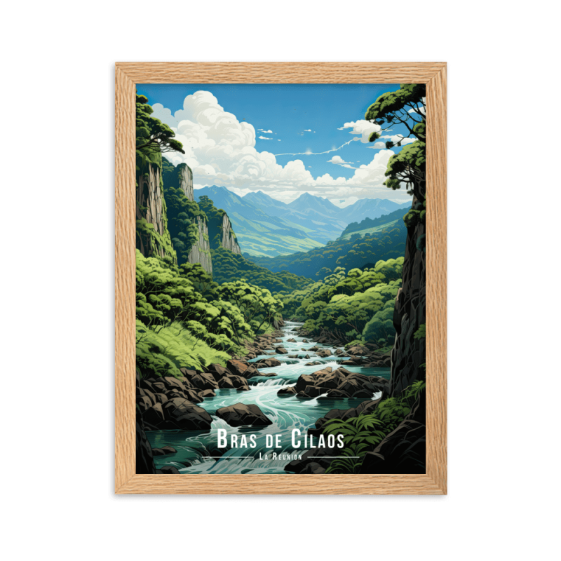 Bras de cilaos  50 × 70 cm