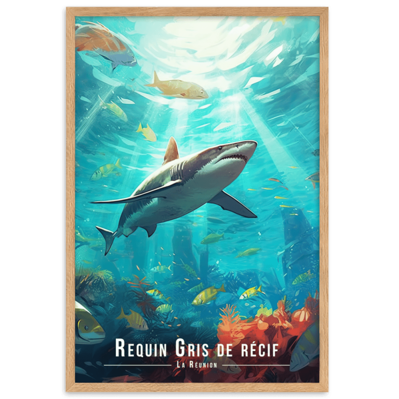 Requin et recif a la reunion 30 × 40 cm
