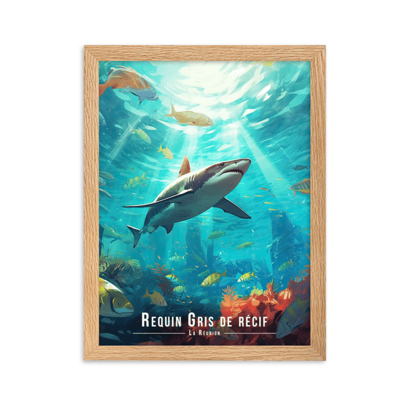 Requin et recif a la reunion  50 × 70 cm