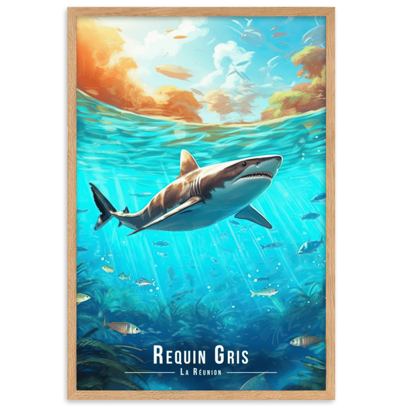 Requin sous les eaux reunionnaises 30 × 40 cm