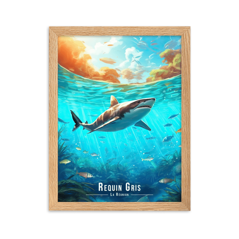 Requin sous les eaux reunionnaises  50 × 70 cm