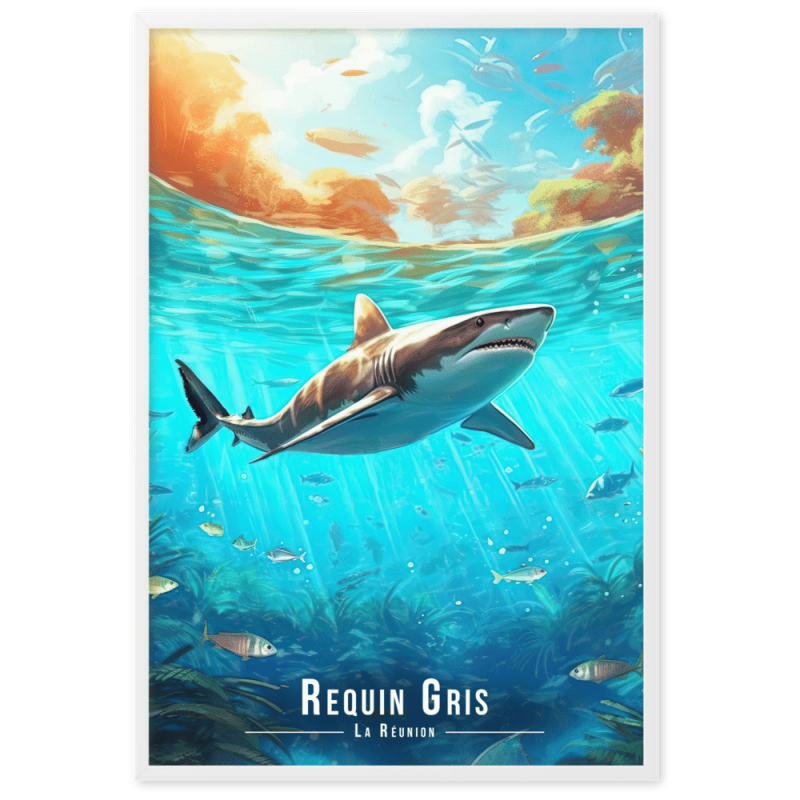 Requin sous les eaux reunionnaises 61 × 91 cm