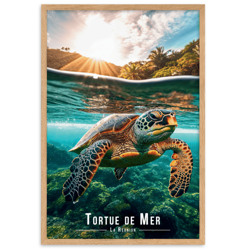 Tortue de mer nageant tranquillement  30 × 40 cm