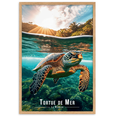 Tortue de mer nageant tranquillement  30 × 40 cm
