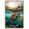 Tortue de mer nageant tranquillement  30 × 40 cm
