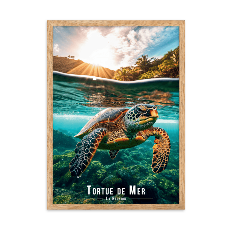 Tortue de mer nageant tranquillement  61 × 91 cm