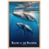 Baleine et son petit  30 × 40 cm