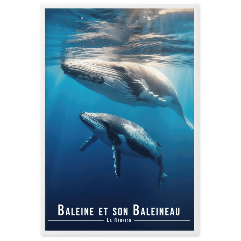 Baleine et son petit  61 × 91 cm