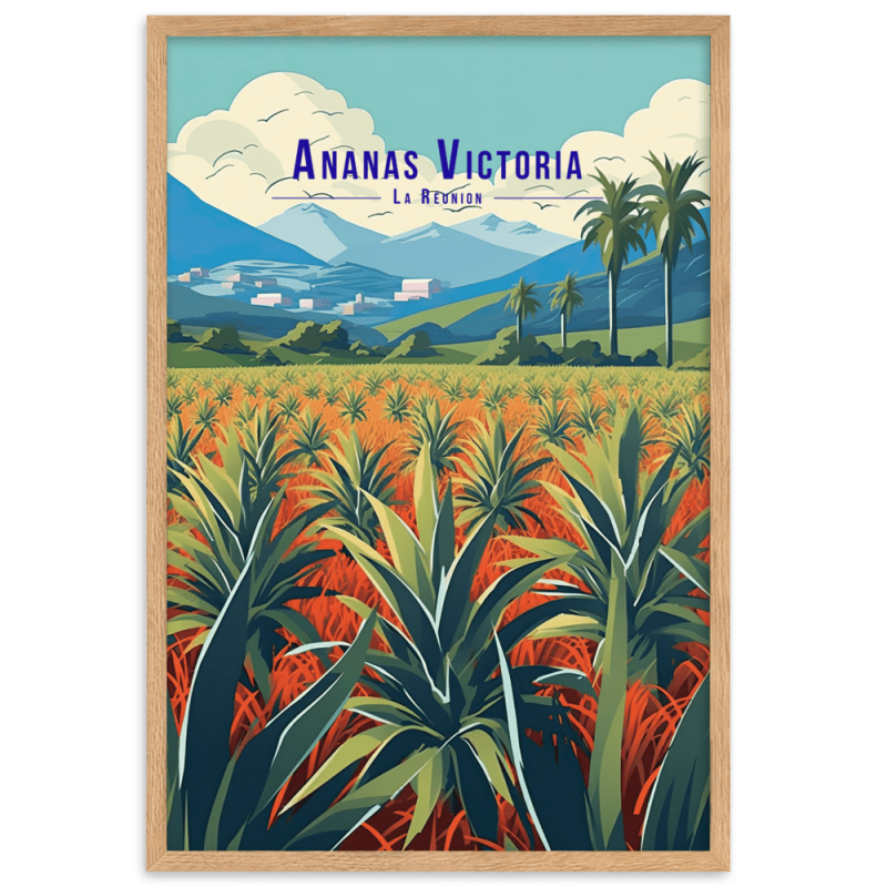Illustration dananas victoria 30 × 40 cm