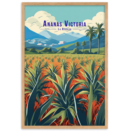 Illustration dananas victoria  30 × 40 cm